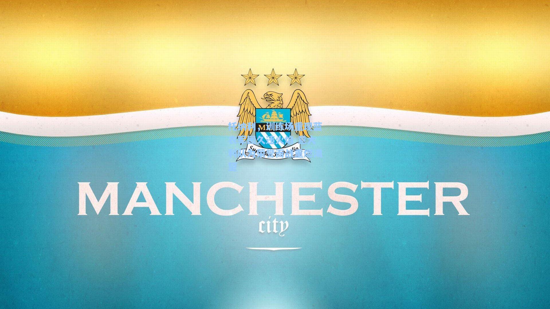 托纳利,训练场重现蓝衣军团久违火焰 意大利队为荣誉而战重燃渴望